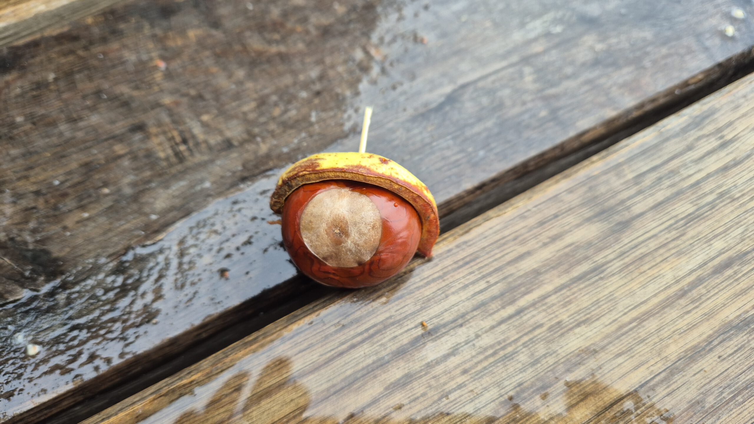 Hallo blog-thumbnail Herbst-Spielplatztreff auf dem Wasserspielplatz